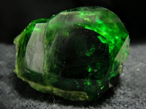 Comparison of professional versus amateur oiling tools