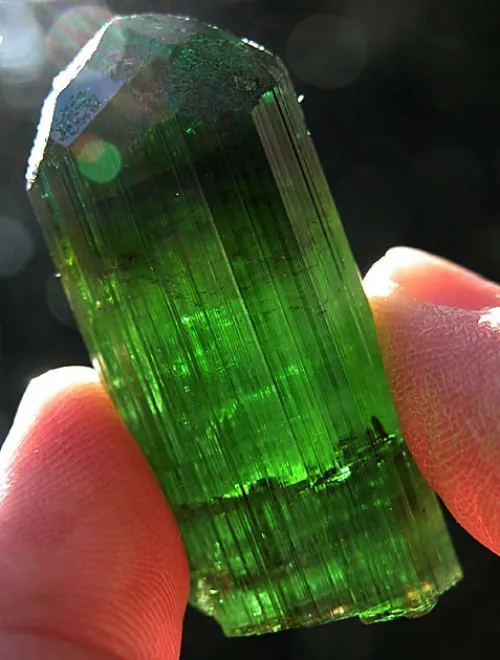 Can Cancer Wear Emerald